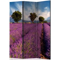 Wohnen Paravents*Fotomotiv Raumteiler Lavendelfeld Provence - Ozaro