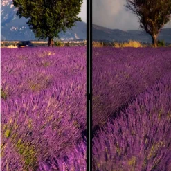 Wohnen Paravents*Fotomotiv Raumteiler Lavendelfeld Provence - Ozaro