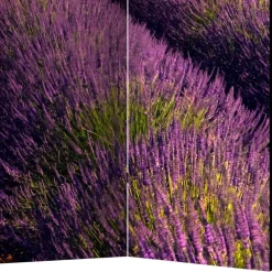 Wohnen Paravents*Fotomotiv Raumteiler Lavendelfeld Provence - Ozaro