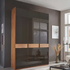 Wohnen Braune Möbel|Kleiderschränke*Glasfront-Schlafzimmerschrank in Dunkelbraun - Hung