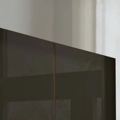 Wohnen Braune Möbel|Kleiderschränke*Glasfront-Schlafzimmerschrank in Dunkelbraun - Hung