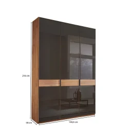 Wohnen Braune Möbel|Kleiderschränke*Glasfront-Schlafzimmerschrank in Dunkelbraun - Hung