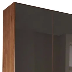 Wohnen Braune Möbel|Kleiderschränke*Glasfront-Schlafzimmerschrank in Dunkelbraun - Hung