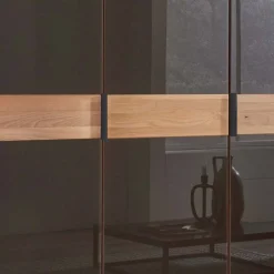 Wohnen Braune Möbel|Kleiderschränke*Glasfront-Schlafzimmerschrank in Dunkelbraun - Hung