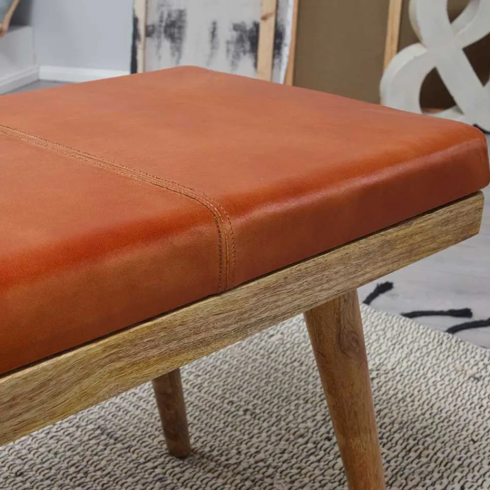 Wohnen Günstige Design Polsterbank mit Leder - Zanyorita