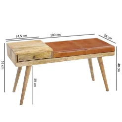 Wohnen Günstige Design Polsterbank mit Leder - Zanyorita