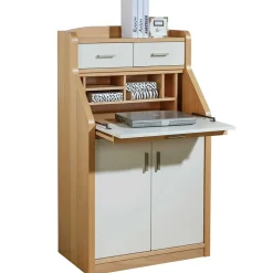 Wohnen Esszimmerschränke*Hochwertiger Sekretär in Creme & Buche - Rayn