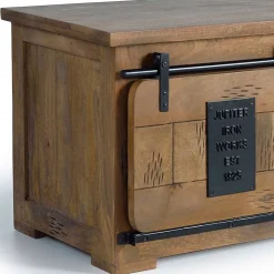 Wohnen Industrial Design TV Lowboard aus Mangoholz - Semian