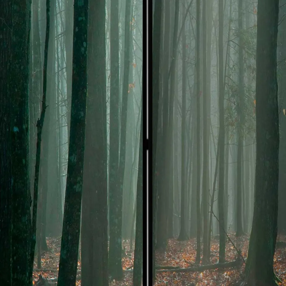 Wohnen Klappbarer Paravent Herbstwald Fotodruck - Stacie