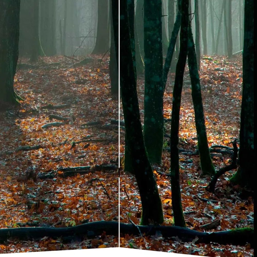 Wohnen Klappbarer Paravent Herbstwald Fotodruck - Stacie