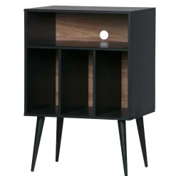 Wohnen Braune Möbel|Wohnzimmer-Regale*Kommode - Plattenregal in Schwarz - Daan