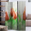 Wohnen Wohnzimmer-Regale|Paravents*Kunstdruck Paravent Tulpen vor Holzwand - Filicudio