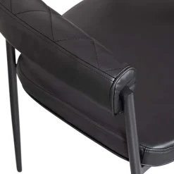 Wohnen Wohnzimmerstühle*Kunstlederstühle in Schwarz - Austral (2er Set)