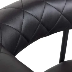 Wohnen Wohnzimmerstühle*Kunstlederstühle in Schwarz - Austral (2er Set)