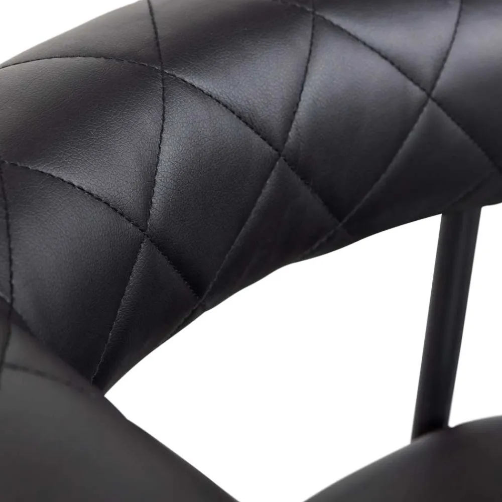 Wohnen Wohnzimmerstühle*Kunstlederstühle in Schwarz - Austral (2er Set)