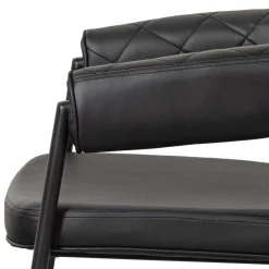 Wohnen Wohnzimmerstühle*Kunstlederstühle in Schwarz - Austral (2er Set)