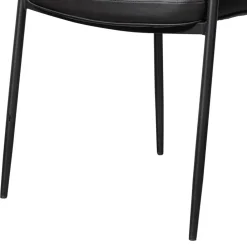 Wohnen Wohnzimmerstühle*Kunstlederstühle in Schwarz - Austral (2er Set)