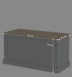 Wohnen Sitztruhen*Landhaus Truhe in Grau mit Eiche - Rino