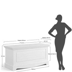 Wohnen Braune Möbel|Holztruhen*Landhaustruhe mit flachem Deckel - Manipur