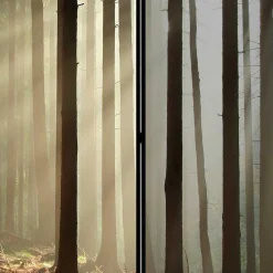 Wohnen Paravents*Leinwand Paravent mit Naturmotiv Wald - Nadiola