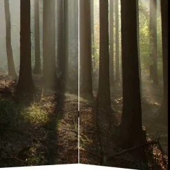 Wohnen Paravents*Leinwand Paravent mit Naturmotiv Wald - Nadiola