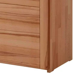 Wohnen Büroregale*Massivholz Aktenschrank aus Kernbuche - Naxos