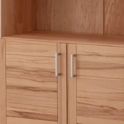 Wohnen Büroregale*Massivholz Aktenschrank aus Kernbuche - Naxos