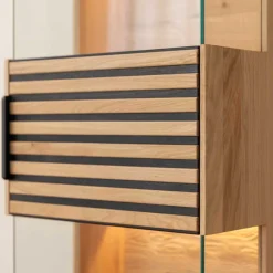 Wohnen Esszimmer-Vitrinen*Massivholz Hängevitrine mit LED Beleuchtung - Eribella