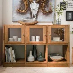 Wohnen Büro-Raumteiler*Massivholzregal Levronia mit Glastüren