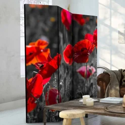 Wohnen Paravents|Wohnzimmer-Regale*Mobiler Foto Raumtrenner mit Mohn Blumen Motiv - Conwy