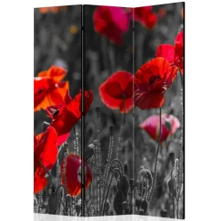 Wohnen Paravents|Wohnzimmer-Regale*Mobiler Foto Raumtrenner mit Mohn Blumen Motiv - Conwy