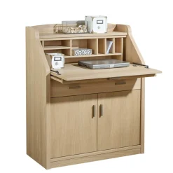 Wohnen Moderner Schreibschrank mit Furnier Eiche - Twinn