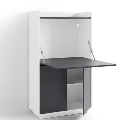 Wohnen Moderner Sekretär in Weiß und Anthrazit - Exotica