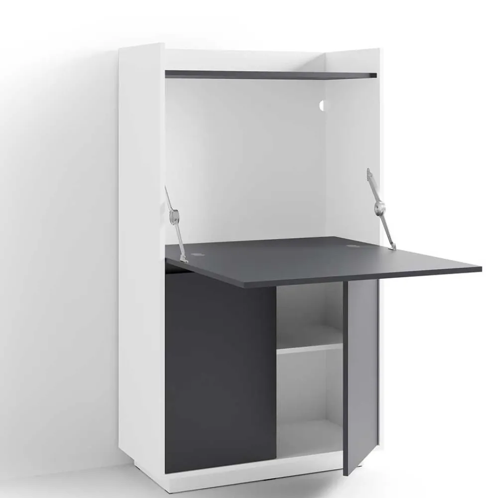 Wohnen Moderner Sekretär in Weiß und Anthrazit - Exotica