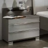 Wohnen Nachttische|Kommoden*Nachtkommoden mit Glasfront Grau - Ocavado (2er Set)