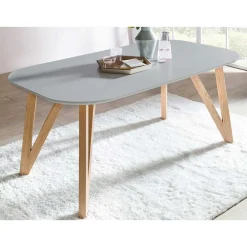 Wohnen Skandinavische Möbel*Ovaler Esszimmer Esstisch in Grau & Eichefarben - Mevyda