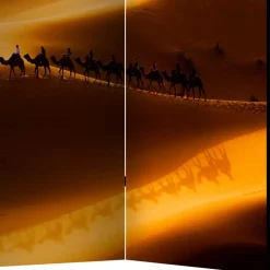 Wohnen Paravent mit Foto Wüste mit Kamel Karavane - Lively