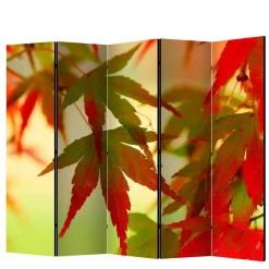 Wohnen Paravents|Wohnzimmer-Regale*Paravent mit Fotodruck Fächerahorn Blätter - Kasaryn