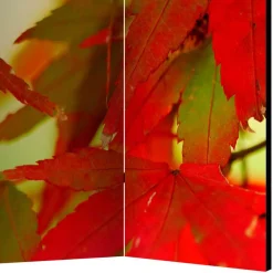 Wohnen Paravents|Wohnzimmer-Regale*Paravent mit Fotodruck Fächerahorn Blätter - Kasaryn