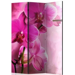 Wohnen Paravents*Paravent mit Fotodruck in Pink Rosa - Lights