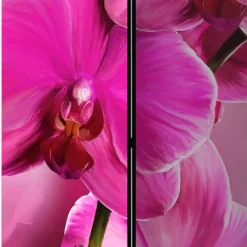 Wohnen Paravents*Paravent mit Fotodruck in Pink Rosa - Lights