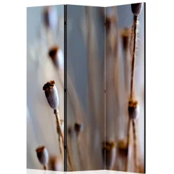 Wohnen Paravents*Paravent mit Fotoprint Mohn Samenkapseln - Porongo