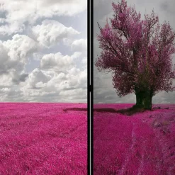 Wohnen Paravents*Paravent mit Landschaft Motiv in Pink - Altamira