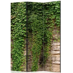 Wohnen Paravent mit Mauer & Ranke Wilder Wein - Letona