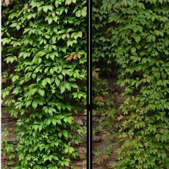 Wohnen Paravent mit Mauer & Ranke Wilder Wein - Letona