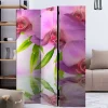 Wohnen Paravent mit Orchideen Motiv - Grex