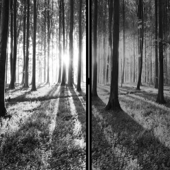 Wohnen Paravent mit Schwarz-Weiss Druck Wald - Norte