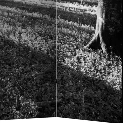Wohnen Paravent mit Schwarz-Weiss Druck Wald - Norte