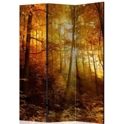Wohnen Paravents*Paravent Trennwand Wald in Herbststimmung - Jemja