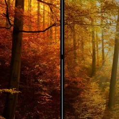 Wohnen Paravents*Paravent Trennwand Wald in Herbststimmung - Jemja